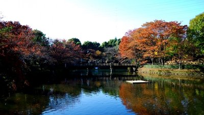 🌳 카누마 공원 (카누마 코엔) 이미지 2